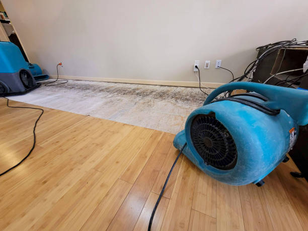 Professional Water Damage Repair technician working in Olney, MD